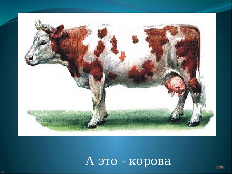 Рева корова это юля. Уставишься. Стих 2023 года мемы. Корова это раз. Пегая корова это какая.