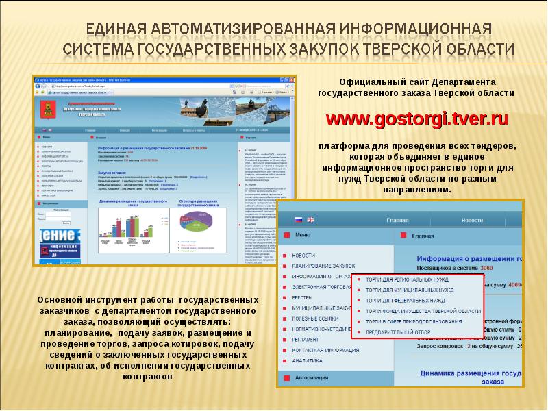 Плагин госзаказ. Автоматизированная система торгов государственного заказа. Электронный магазин.