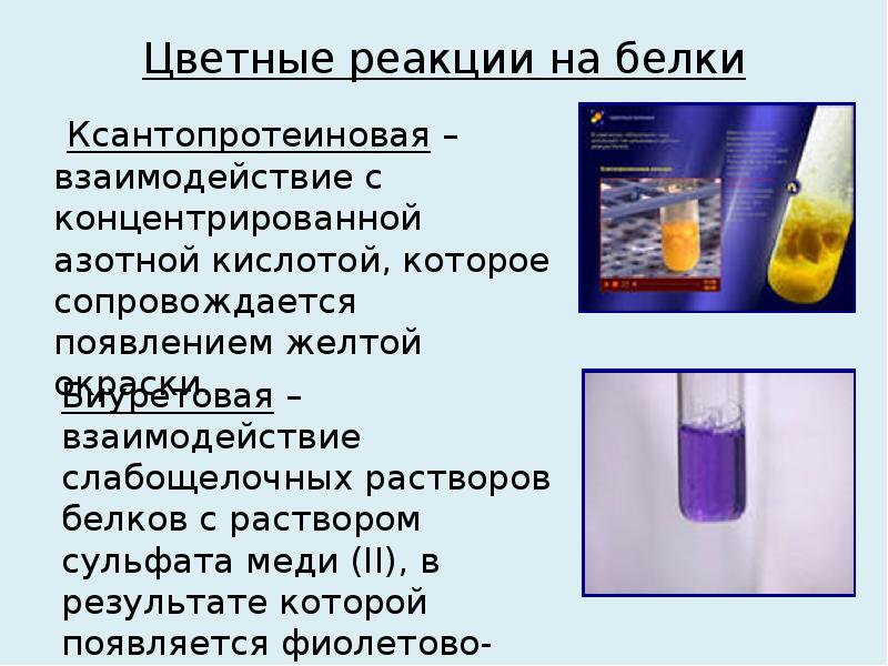 Белок кислота. Цветные реакции на белок биуретовая ксантопротеиновая. Цветные реакции белков биуретовая ксантопротеиновая реакции. Цветные реакции на белки: биуретовая, ксантопротеиновая.. Качественная реакция на ксантопротеиновая реакция белка.