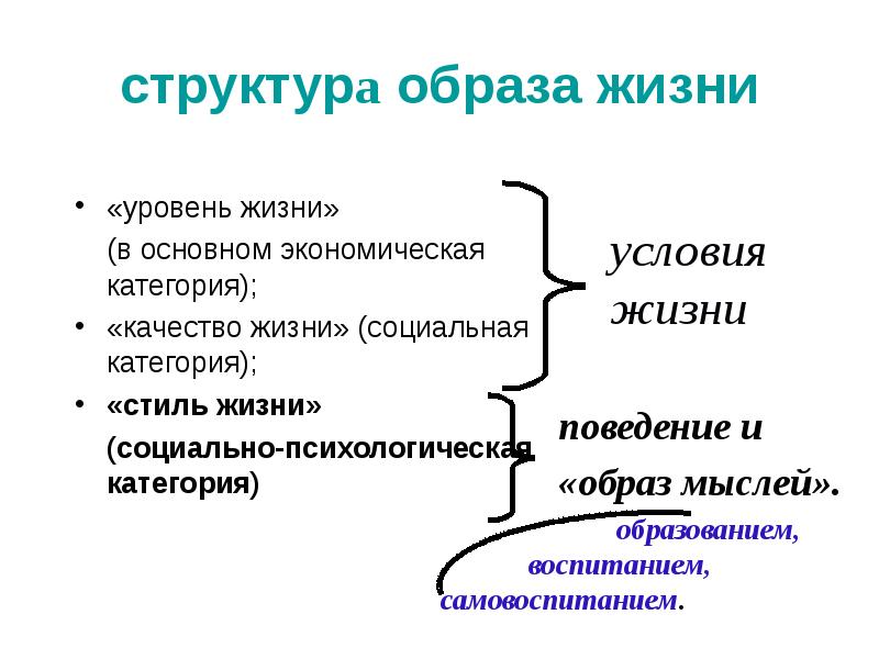 Структура образа