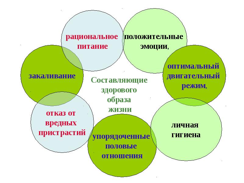 Схема здоровый образ жизни