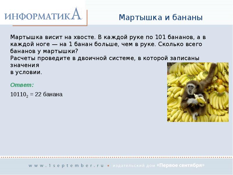 Ответ на доклад. #101 На бананах. Мартышка висит на хвосте и жует бананы. Мартышка по информатике. Информатика обезьянка в программе с бананами.