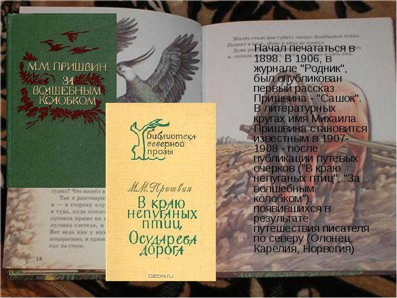 Начал печататься в 1898. В 1906, в журнале "Родник", был опубликован