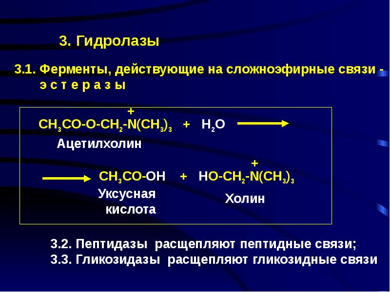 Ферменты презентация биология