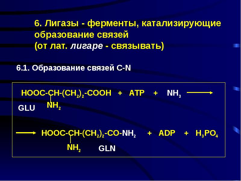 Лигазы это