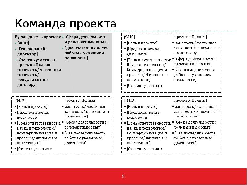 Зона ответственности руководителя проекта