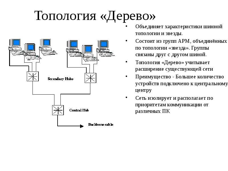 Схема топологии дерево