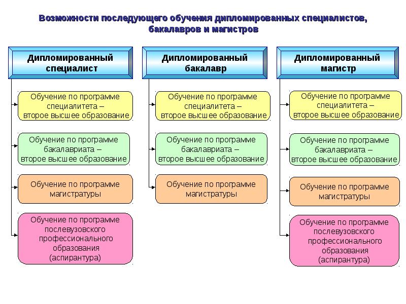 Примеры получения высшего образования