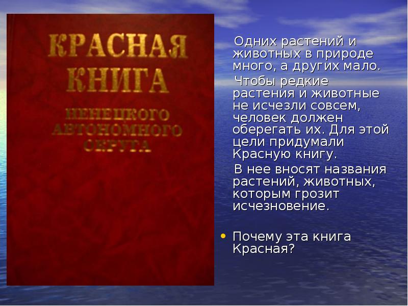 Растения красной книги янао в картинках