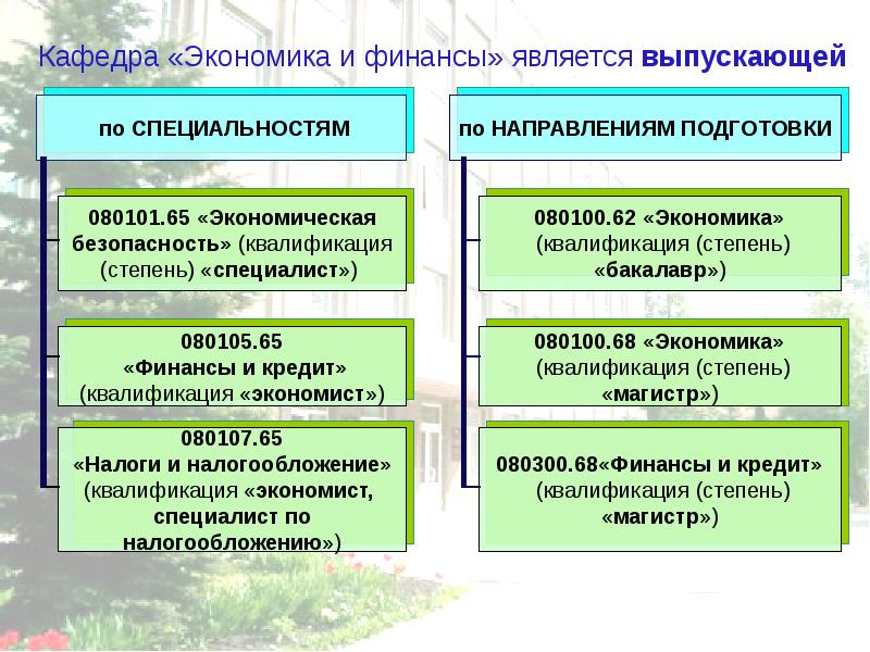 Степень специалиста. Экономическая безопасность квалификация. Квалификация инженер-экономист. Квалификация экономиста по категориям. Квалификация экономика и безопасность.