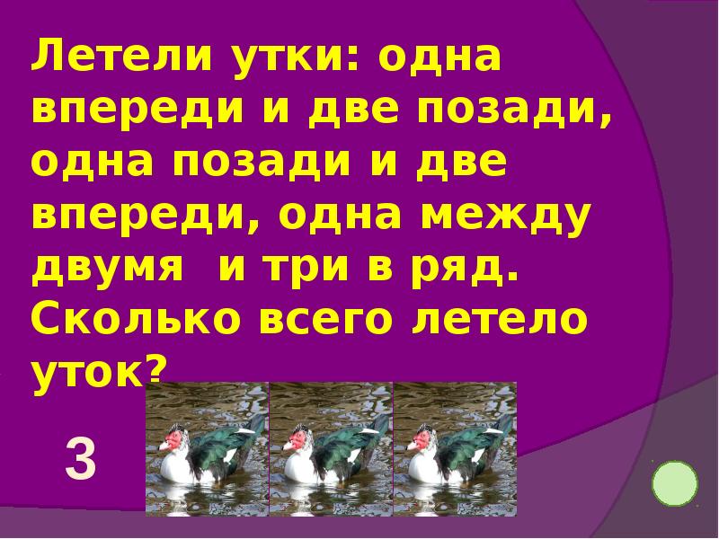 Летят два один другой. Летели утки одна впереди и три позади. Летели группа уток одна впереди две позади.