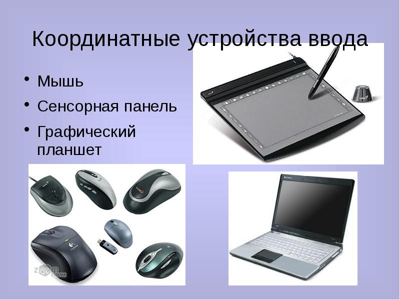 Как называется устройство ввода графических изображений в компьютер ответ