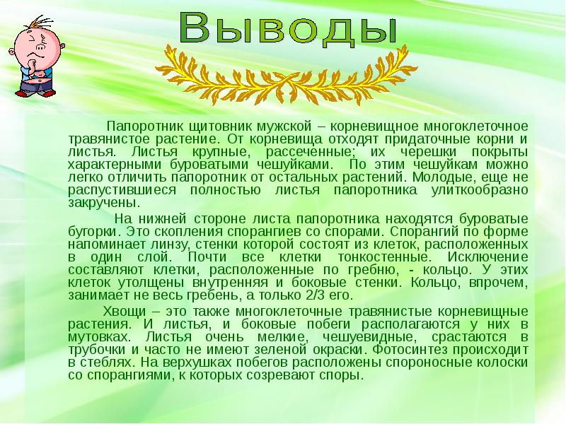 Лабораторная работа строение папоротника 7 класс. Лабораторная работа изучение строения папоротника. Вывод строение папоротника. Лабораторная работа строение папоротника. Лабораторная работа изучение внешнего строения папоротника вывод.