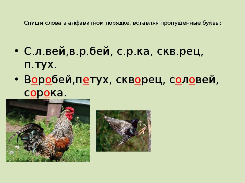 Напиши слова названия рисунков в алфавитном порядке