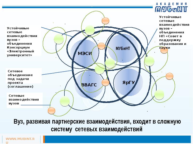 Сетевое образование новый. Механизмы сетевого взаимодействия. Модель устойчивого вуза. Сетевое взаимодействие вузов. Сетевое взаимодействие Ромашка.