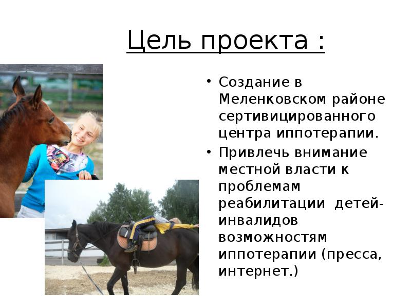 Иппотерапия бизнес план