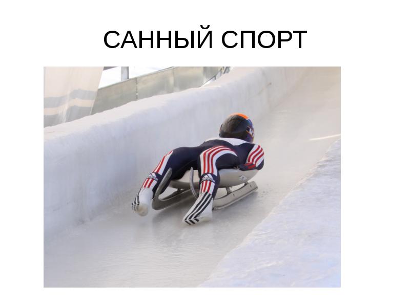 Зимние виды спорта санный спорт