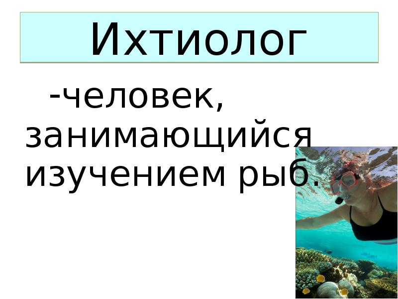 Чем занимается океанолог 2 класс окружающий. Ихтиолог. Ихтиолог презентация. Профессия ихтиолог презентация. Люди которые изучают рыб.