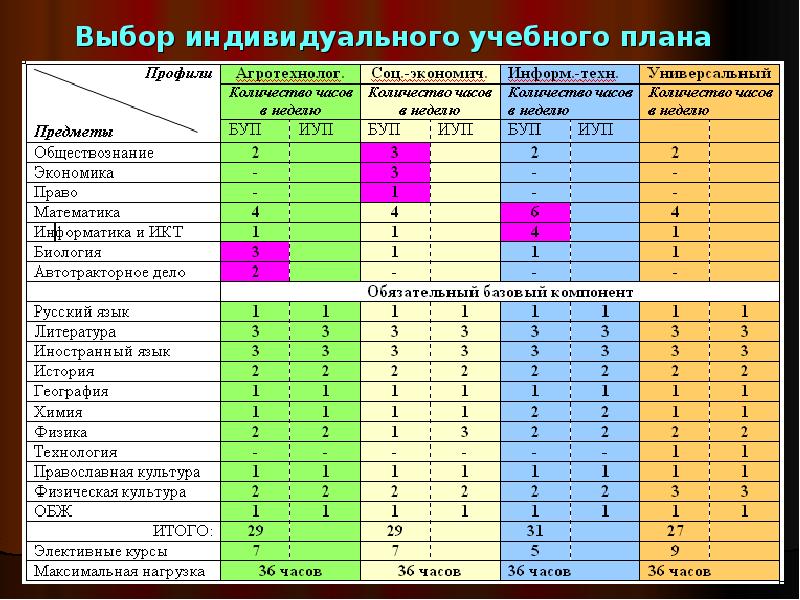 Структура индивидуального учебного плана