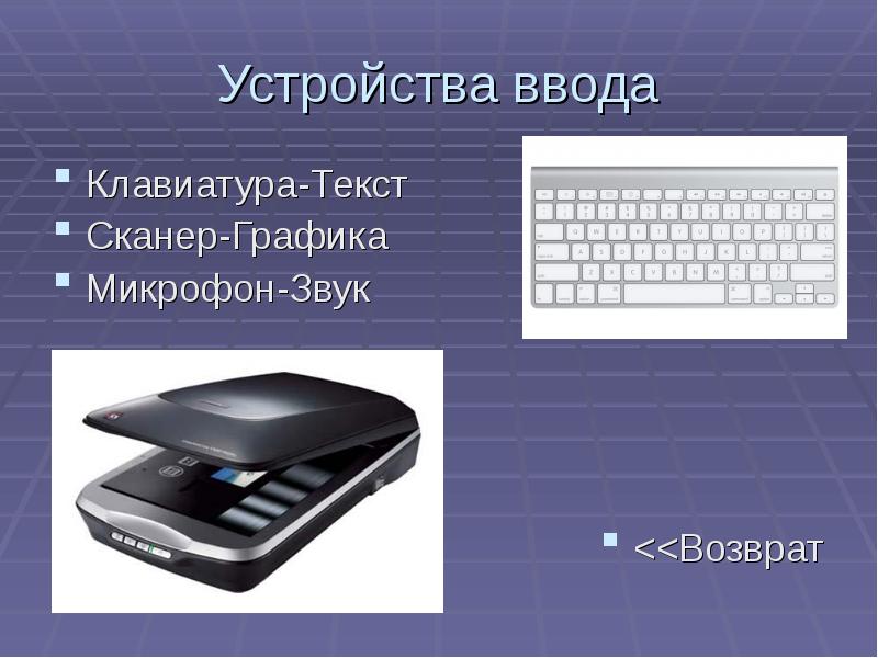 Устройства ввода клавиатура. Устройства ввода клавиатура мышь. Ввода (клавиатура, мышь, сканер). Сканер Графика.