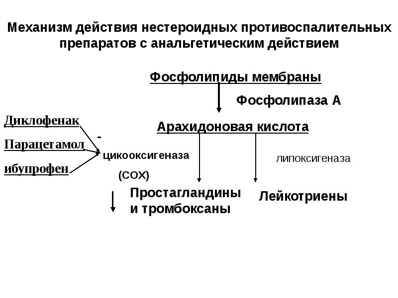 Эндотелий и регуляция сосудистого тонуса презентация