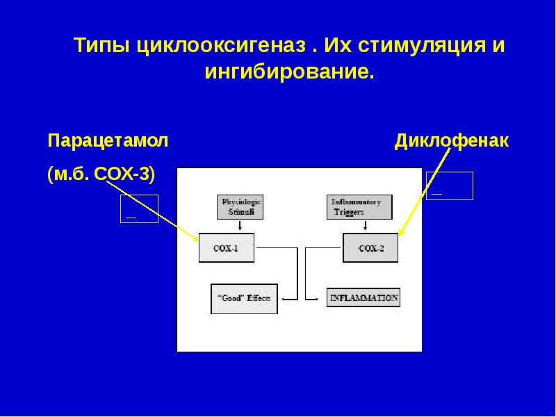 Эндотелий и регуляция сосудистого тонуса презентация