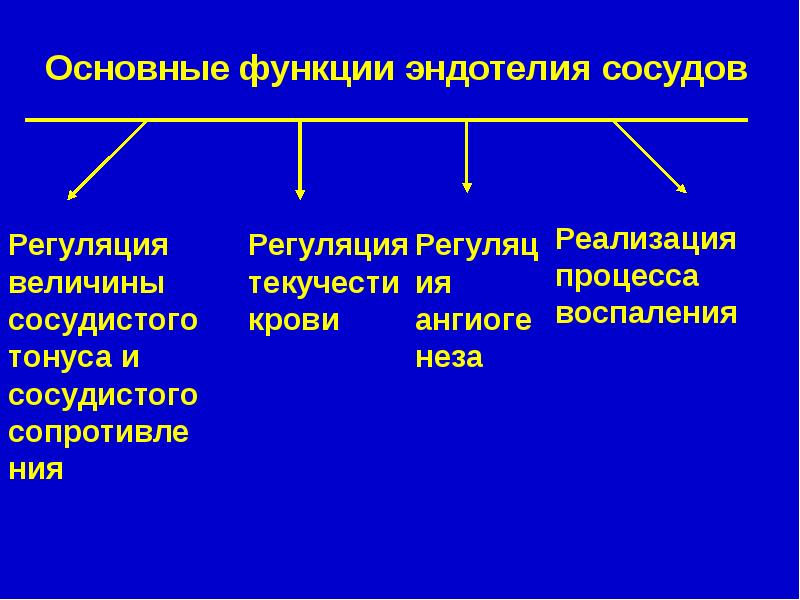 Патофизиология сосудистого тонуса презентация