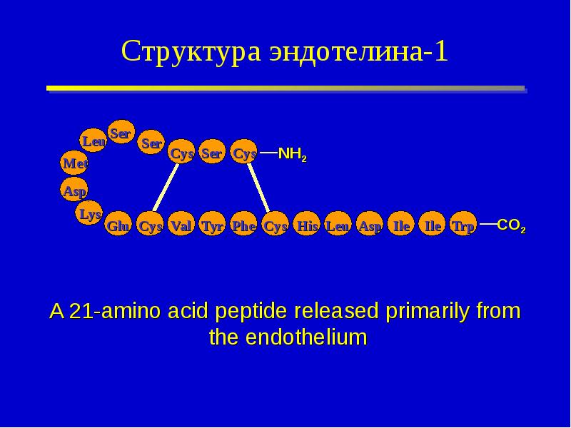 Структура 50. Эндотелин. Эндотелин 1. Эндотелин структура. Эндотелин 2.