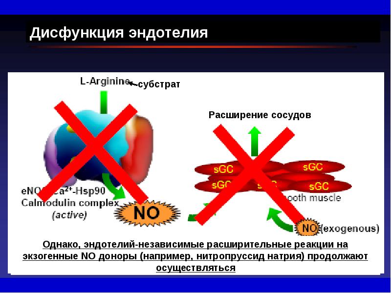 Виды сосудистого тонуса