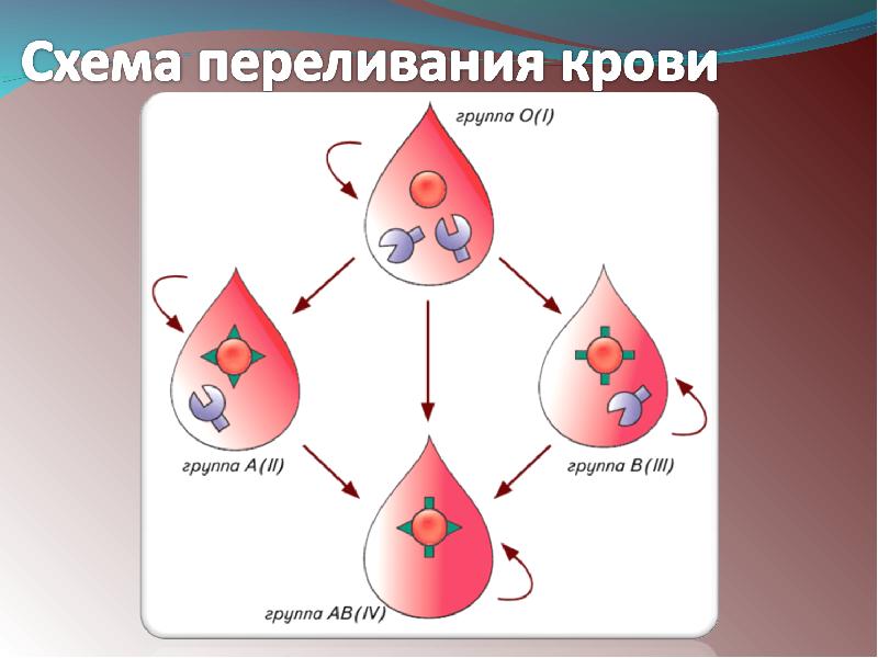 Схема переливания крови с резус фактором