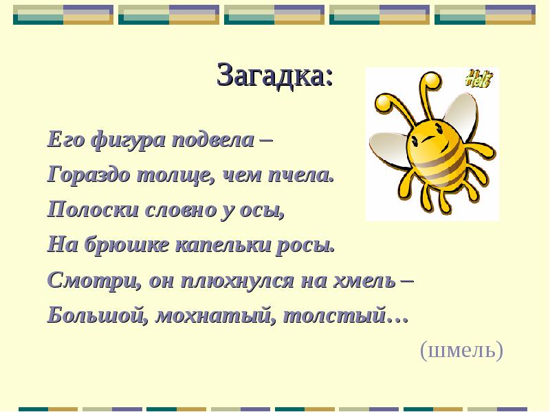 Загадка два брюшка. Загадка про пчелу. Загадка про пчелу для дошкольников. Загадка про шмеля для детей. Стихотворение про шмеля для детей.