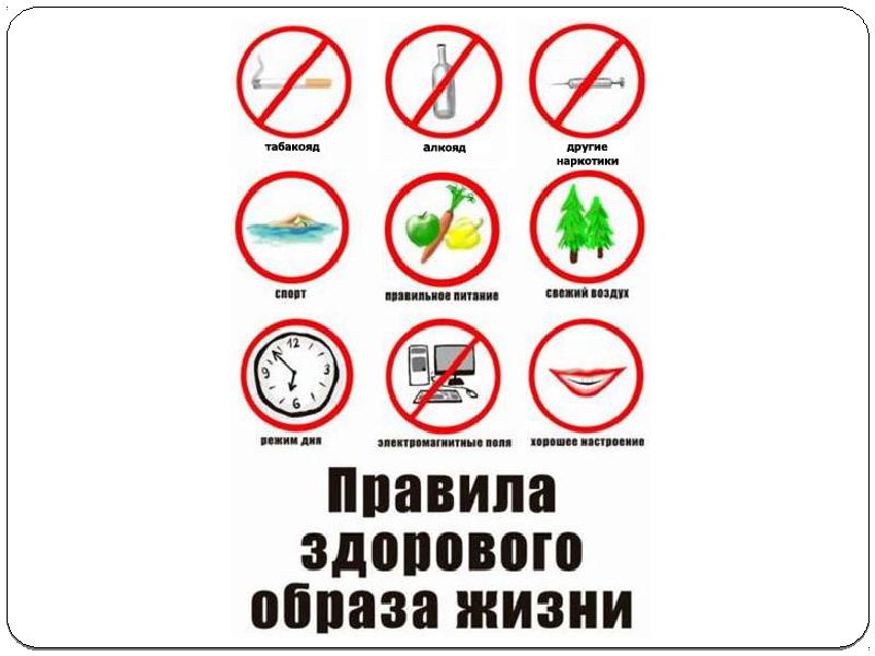 Здоровый образ жизни за и против проект