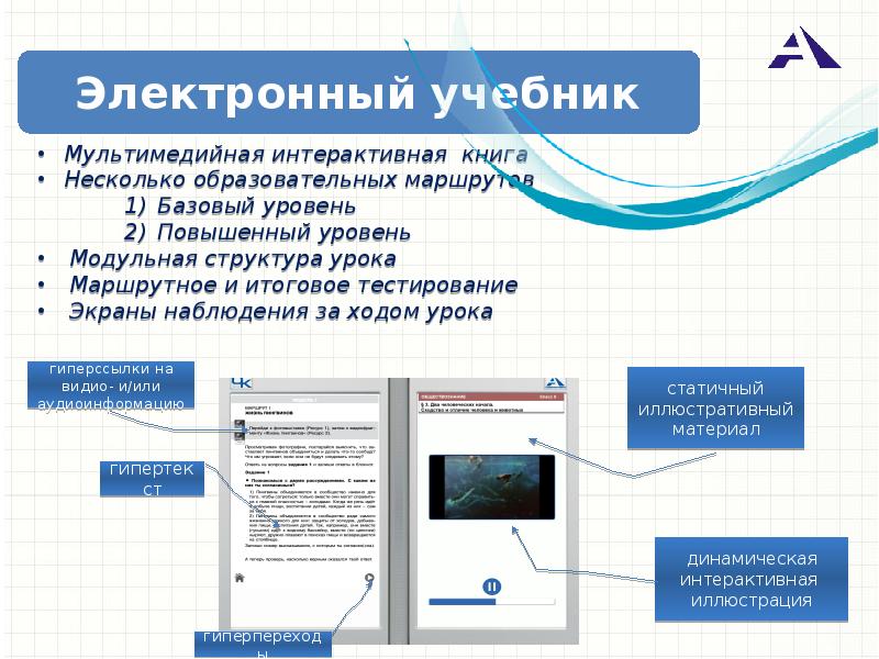Какая информация находится в учебнике