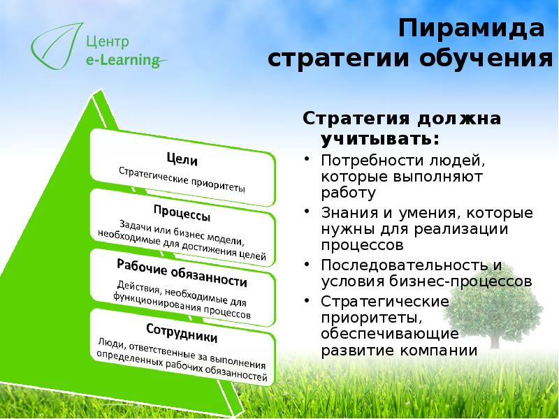 Методы стратегии обучения. Стратегии обучения.