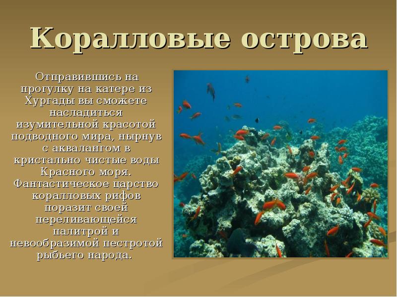 Красное море презентация