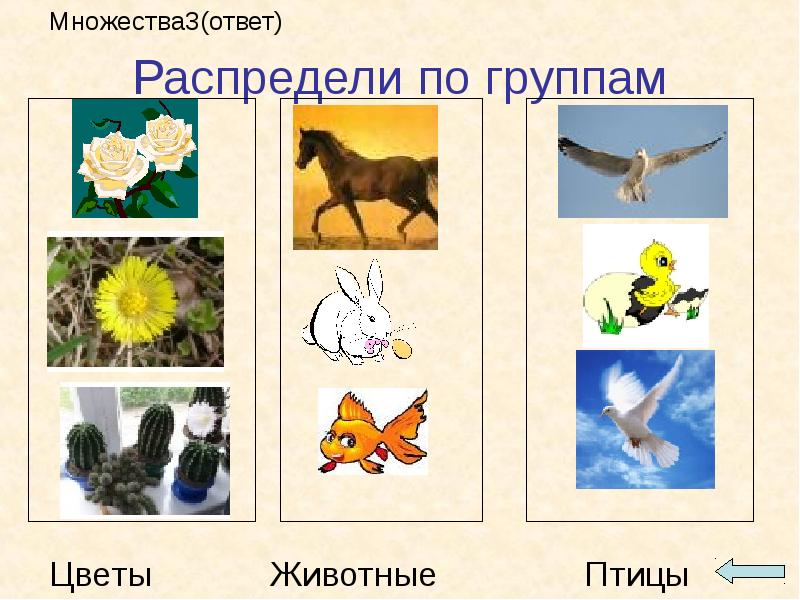 Распределите рисунки по группам