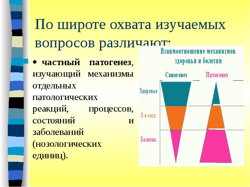 Вид плана соответствующий классификации плана по широте охвата ответ на тест