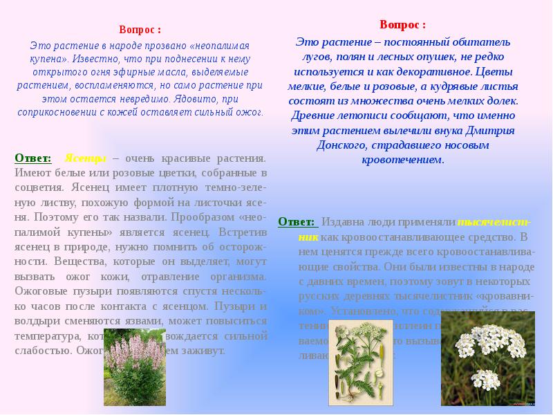 Земля отцов моя земля кубановедение проект 4 класс