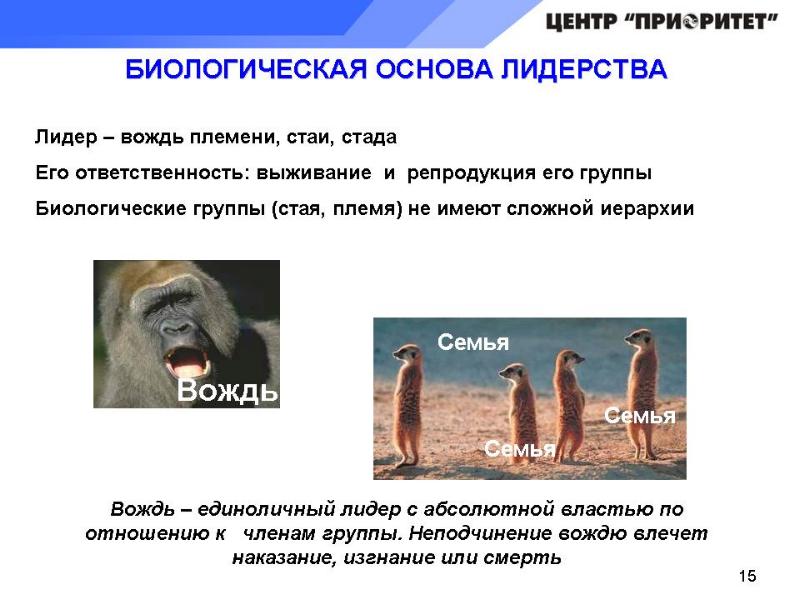 лидерство в менеджменте. биологическое значение лидерства. лидерство в малой группе процесс межличностного влияния. основы эффективного лидерства кратко. основы лидерства.
