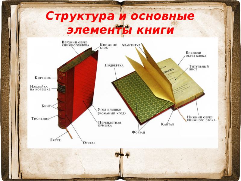 Книга ее назначение. Структура и элементы книги. Из чего состоит структура книги. Книга структура книги. Части обложки книги.