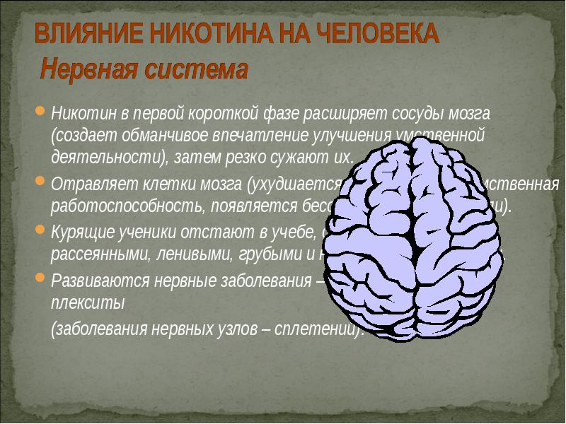 Украли мозг. Влияние никотина на нервную систему. Никотин отравляет клетки мозга. Влияние никотина на мозг презентация.