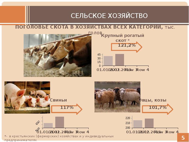 Проект 3 класс окружающий мир экономика алтайского края 3 класс