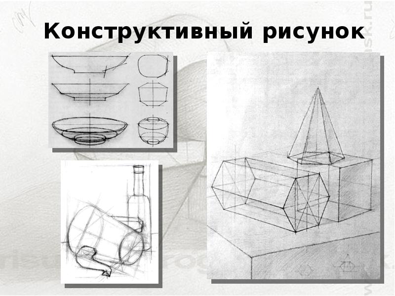 Основы линейно конструктивного рисунка