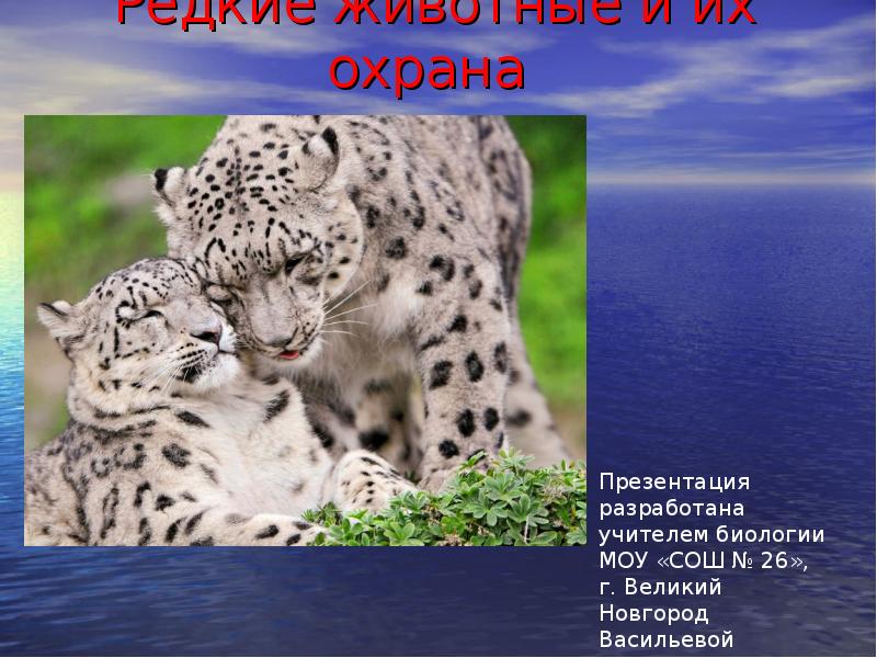 Проект самые редкие животные