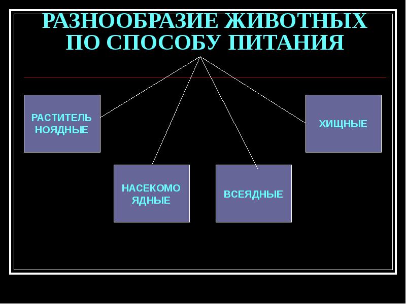 Схема многообразие животных