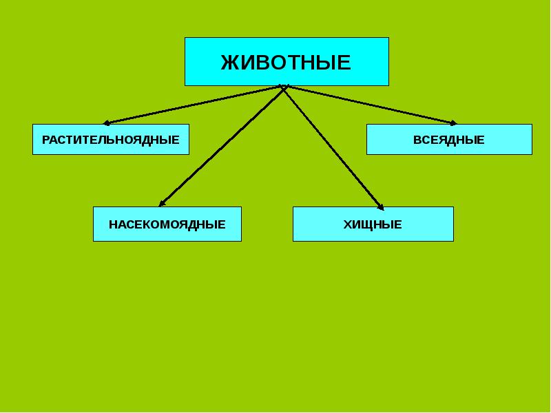 Три класса животных. Животные растительноядные Хищные всеядные Насекомоядные. Питание животных 3 класс окружающий мир. Цепи растительноядных животных. Растительноядные животные 3 класс окружающий.