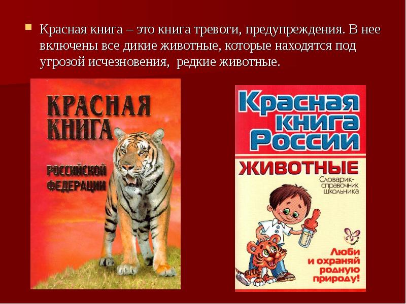 Презентация книга тревоги