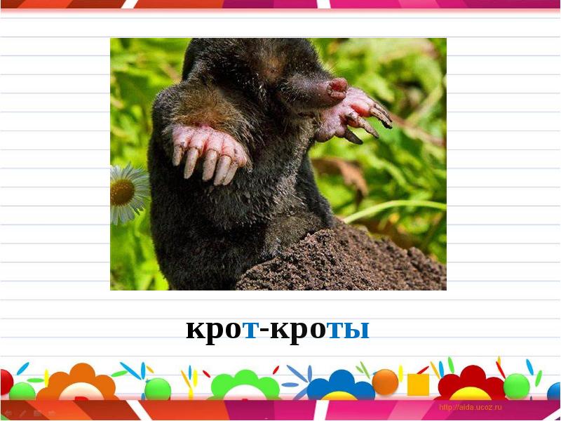 Установите соответствие между примерами и видами налогов. Установите соответствие крот. Установите соответствие между представителями и отряда крот бегемот. Особенности строения тела крота. Морфологические свойства крота критерии.