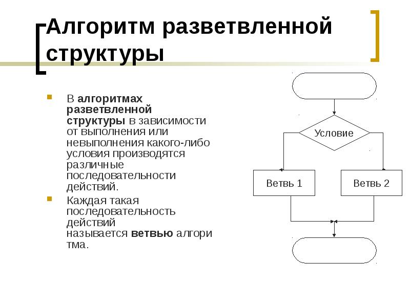 Программирование разветвляющихся алгоритмов презентация