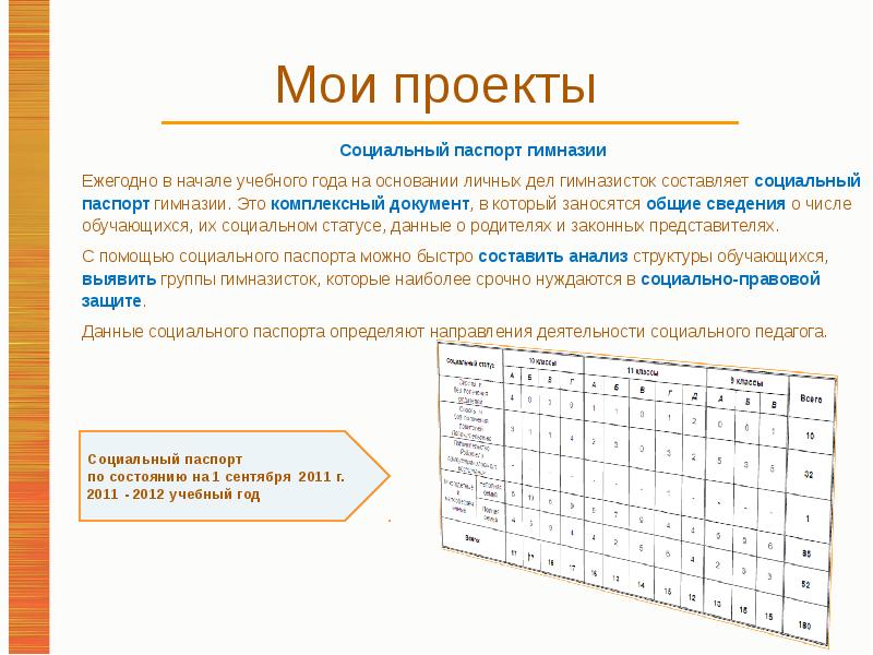 Паспорт социального проекта пример оформления